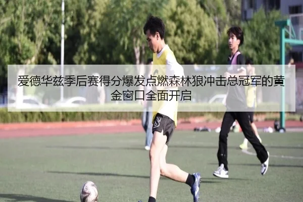爱德华兹季后赛得分爆发点燃森林狼冲击总冠军的黄金窗口全面开启